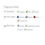 عطر ادکلن مردانه دسکوارد2 پوشن مردانه