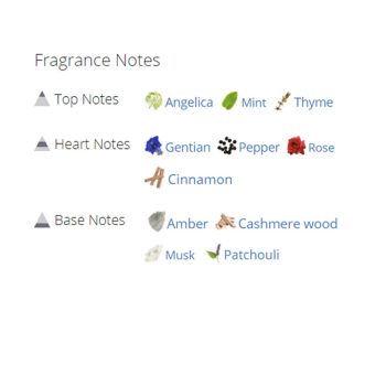 عطر ادکلن مردانه دسکوارد2 پوشن مردانه