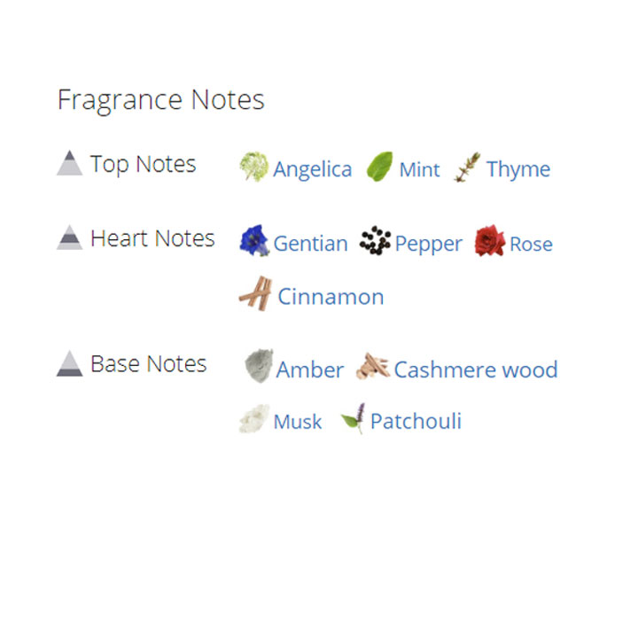 عطر ادکلن مردانه دسکوارد2 پوشن مردانه عطر ادکلن مردانه دسکوارد2 پوشن مردانه