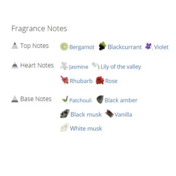 عطر ادکلن زنانه دسکوارد2 پوشن زنانه