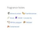 عطر ادکلن مردانه دسکوارد2 هی وود راکی مانتین وود