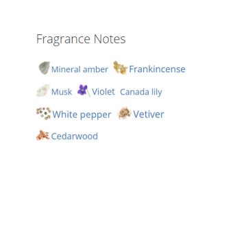 عطر ادکلن مردانه دسکوارد2 هی وود راکی مانتین وود