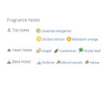 عطر ادکلن مردانه دسکوارد 2 وود فور هیم