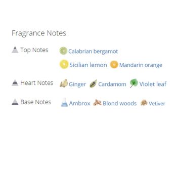 عطر ادکلن مردانه دسکوارد 2 وود فور هیم