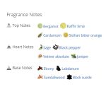 عطر ادکلن مردانه دانهیل ایکون الیت