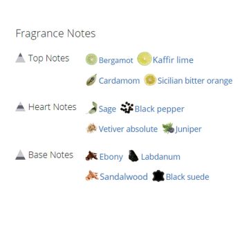 عطر ادکلن مردانه دانهیل ایکون الیت