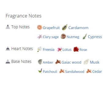 عطر ادکلن مردانه دانهیل ایکس سنتریک