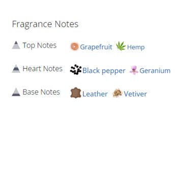 عطر ادکلن مردانه بد بوی پرفیوم