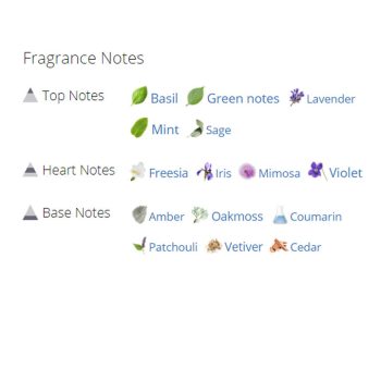 عطر ادکلن مردانه دانهیل فرش