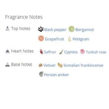 عطر ادکلن مردانه دانهیل دیزایر بلک