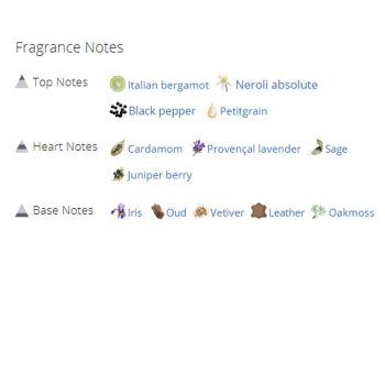 عطر ادکلن مردانه دانهیل آیکون