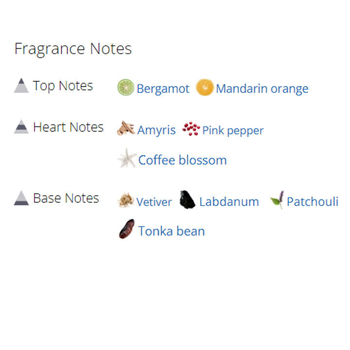 عطر ادکلن مردانه جیونچی پلی اینتنس مردانه عطر ادکلن مردانه جیونچی پلی اینتنس مردانه