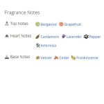 عطر ادکلن مردانه جیونچی بلو لیبل