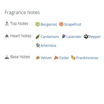 عطر ادکلن مردانه جیونچی بلو لیبل