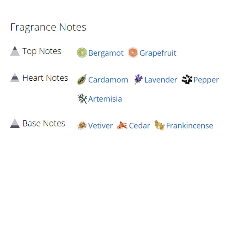 عطر ادکلن مردانه جیونچی بلو لیبل عطر ادکلن مردانه جیونچی بلو لیبل