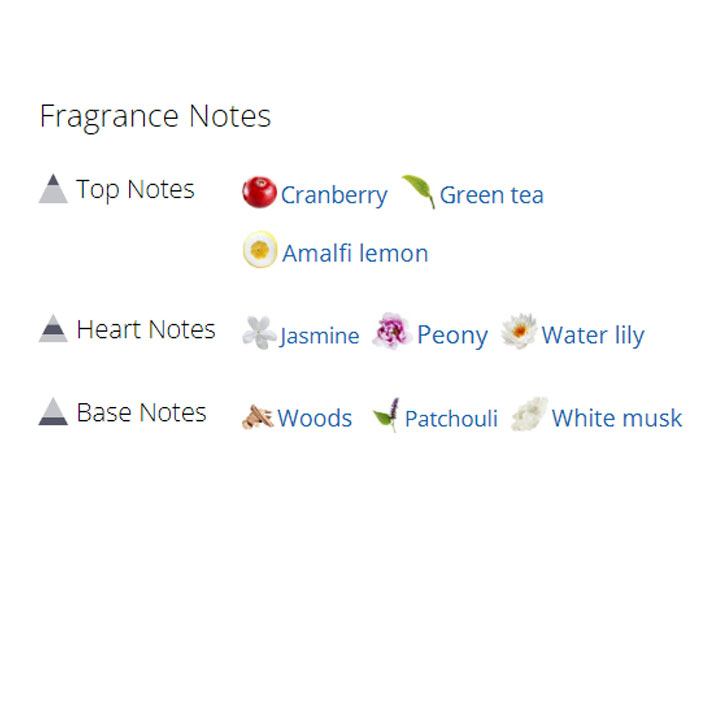 عطر ادکلن زنانه جیونچی آنجئو دمون له سکرت عطر ادکلن زنانه جیونچی آنجئو دمون له سکرت