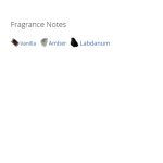 عطر ادکلن مردانه و زنانه جیونچی آمبر تایگر