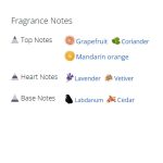 عطر ادکلن مردانه جیونچی پورهوم