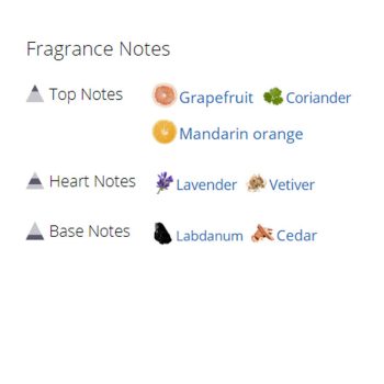 عطر ادکلن مردانه جیونچی پورهوم