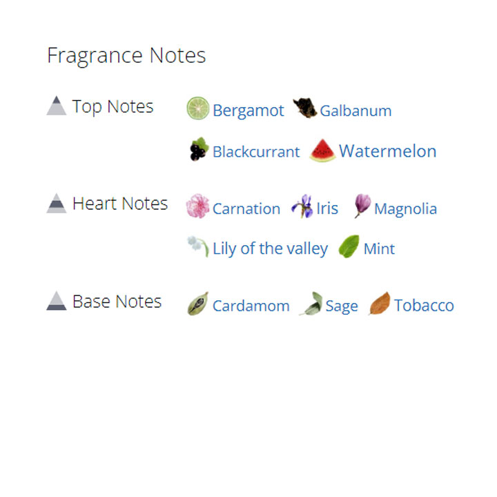 عطر ادکلن مردانه جیوانچی اینسنس اولترامارین عطر ادکلن مردانه جیوانچی اینسنس اولترامارین