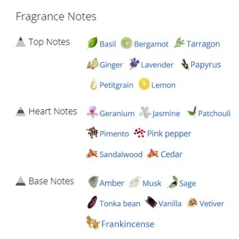 عطر ادکلن مردانه گوچی پورهوم