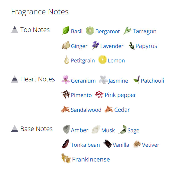 عطر ادکلن مردانه گوچی پورهوم عطر ادکلن مردانه گوچی پورهوم