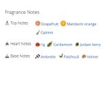 عطر ادکلن مردانه گوچی بای گوچی اسپرت