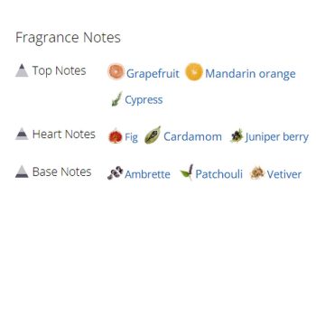 عطر ادکلن مردانه گوچی بای گوچی اسپرت