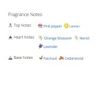 عطر ادکلن مردانه گوچی گیلتی مردانه