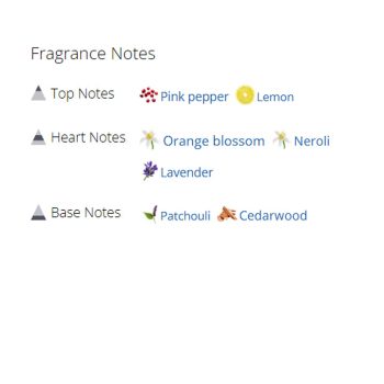 عطر ادکلن مردانه گوچی گیلتی مردانه