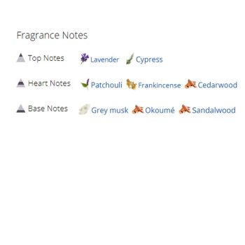 عطر ادکلن مردانه گوچی راش