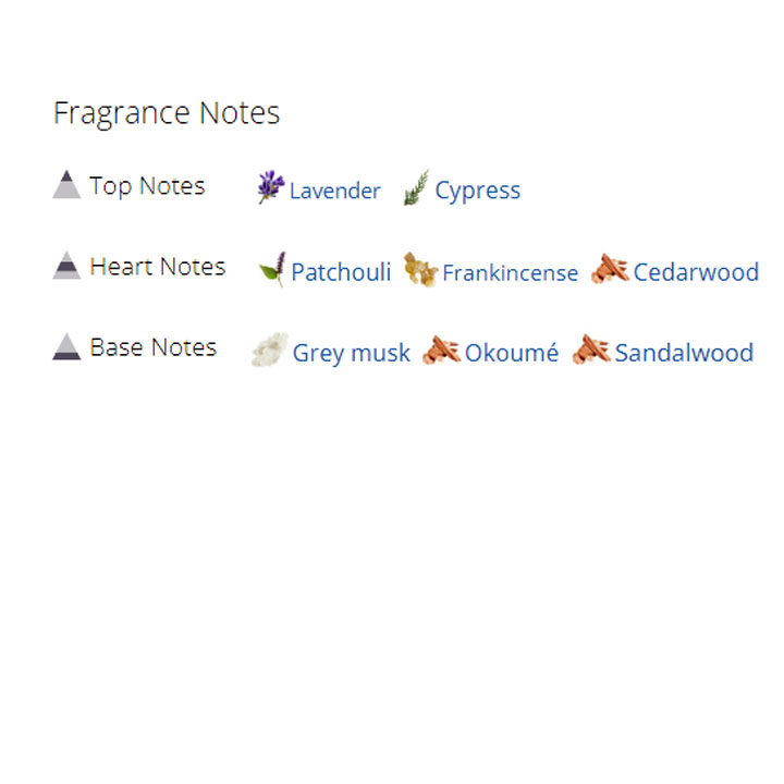 عطر ادکلن مردانه گوچی راش عطر ادکلن مردانه گوچی راش