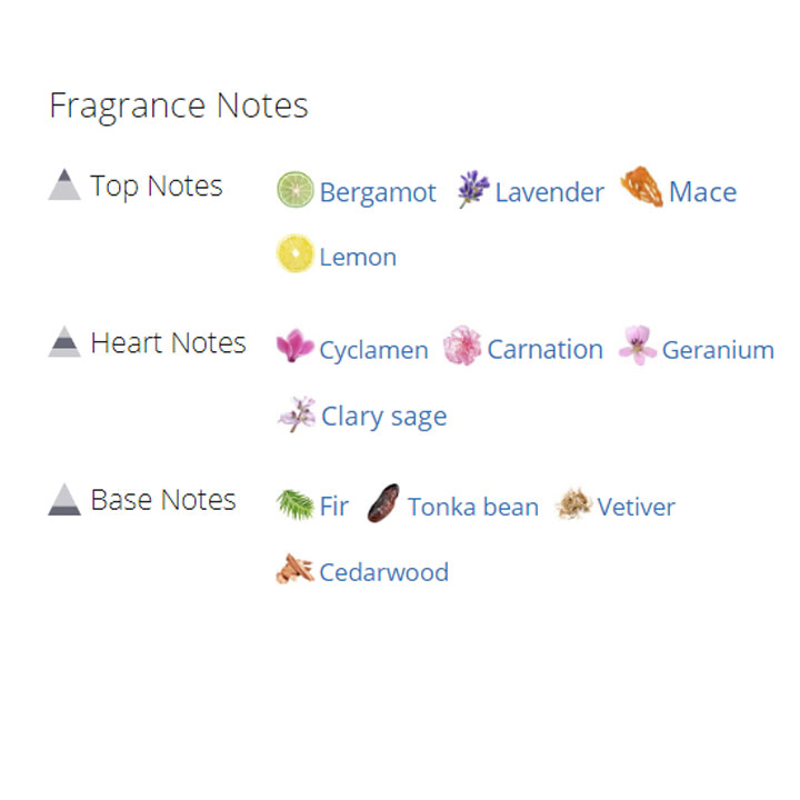 عطر ادکلن مردانه دانهیل ادیشن عطر ادکلن مردانه دانهیل ادیشن