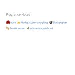 عطر ادکلن زنانه الیه ساب نویت نور