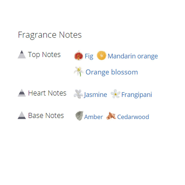 عطر ادکلن زنانه الی ساب له پارفوم ریسورت کالکشن عطر ادکلن زنانه الی ساب له پارفوم ریسورت کالکشن