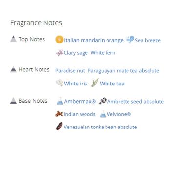 عطر ادکلن زنانه الیزابت آردن وایت تی