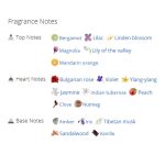 عطر ادکلن زنانه الیزابت آردن فیفت اونو