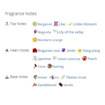 عطر ادکلن زنانه الیزابت آردن فیفت اونو