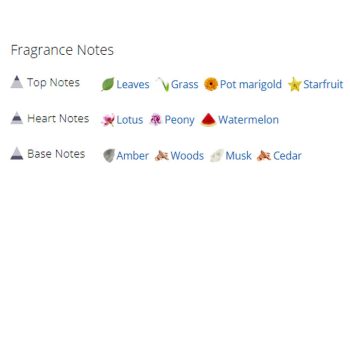 عطر ادکلن زنانه اسکادا این تو د بلو