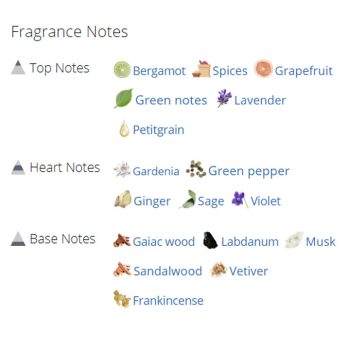 عطر ادکلن مردانه 212 مردانه