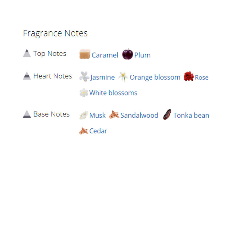 عطر ادکلن زنانه اسکادا کالکشن عطر ادکلن زنانه اسکادا کالکشن