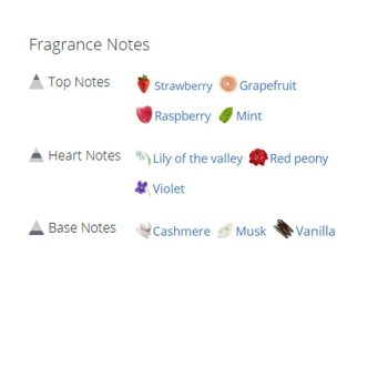 عطر ادکلن زنانه اسکادا گرافیتی