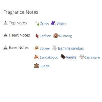 غطر ادکلن مردانه سی اچ