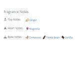 عطر ادکلن زنانه سلبرت ان او دبیلو