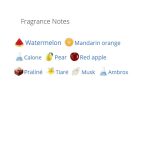 عطر ادکلن زنانه سوربتو روسو