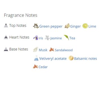 عطر ادکلن زنانه و مردانه اسنتریک ۰۳