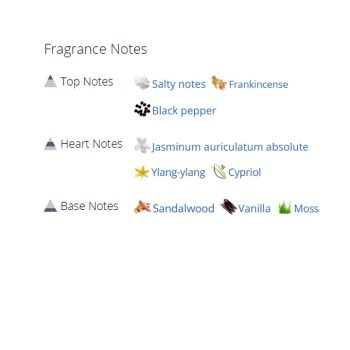 عطر ادکلن مردانه و زنانه آرمانی بلو توق کوییز