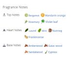 عطر ادکلن مردانه سی کی من