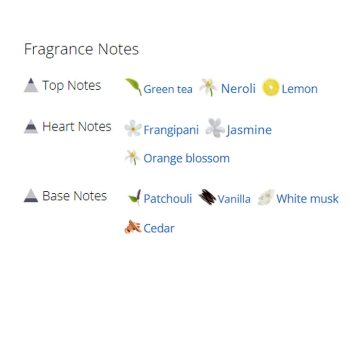 عطر ادکلن زنانه جیونچی آنجئو دمون له سکرت الیکسیر