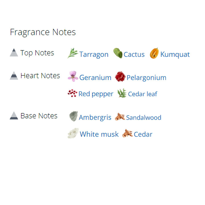 عطر ادکلن مردانه زریوس روژ عطر ادکلن مردانه زریوس روژ